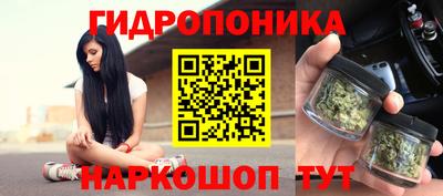 прущие грибы Обь