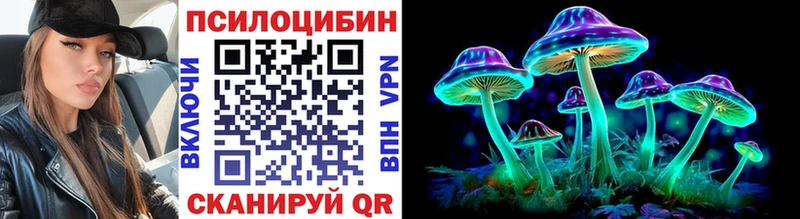 где найти наркотики  Вологда  Галлюциногенные грибы GOLDEN TEACHER 