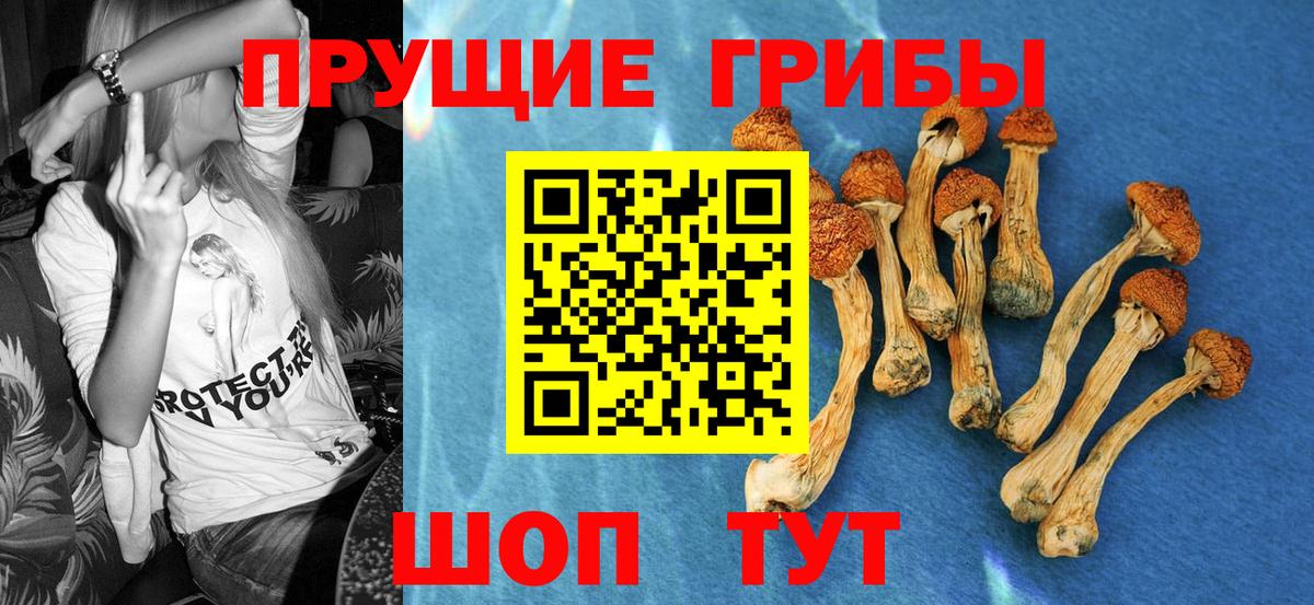 Галлюциногенные грибы MAGIC MUSHROOMS Вологда